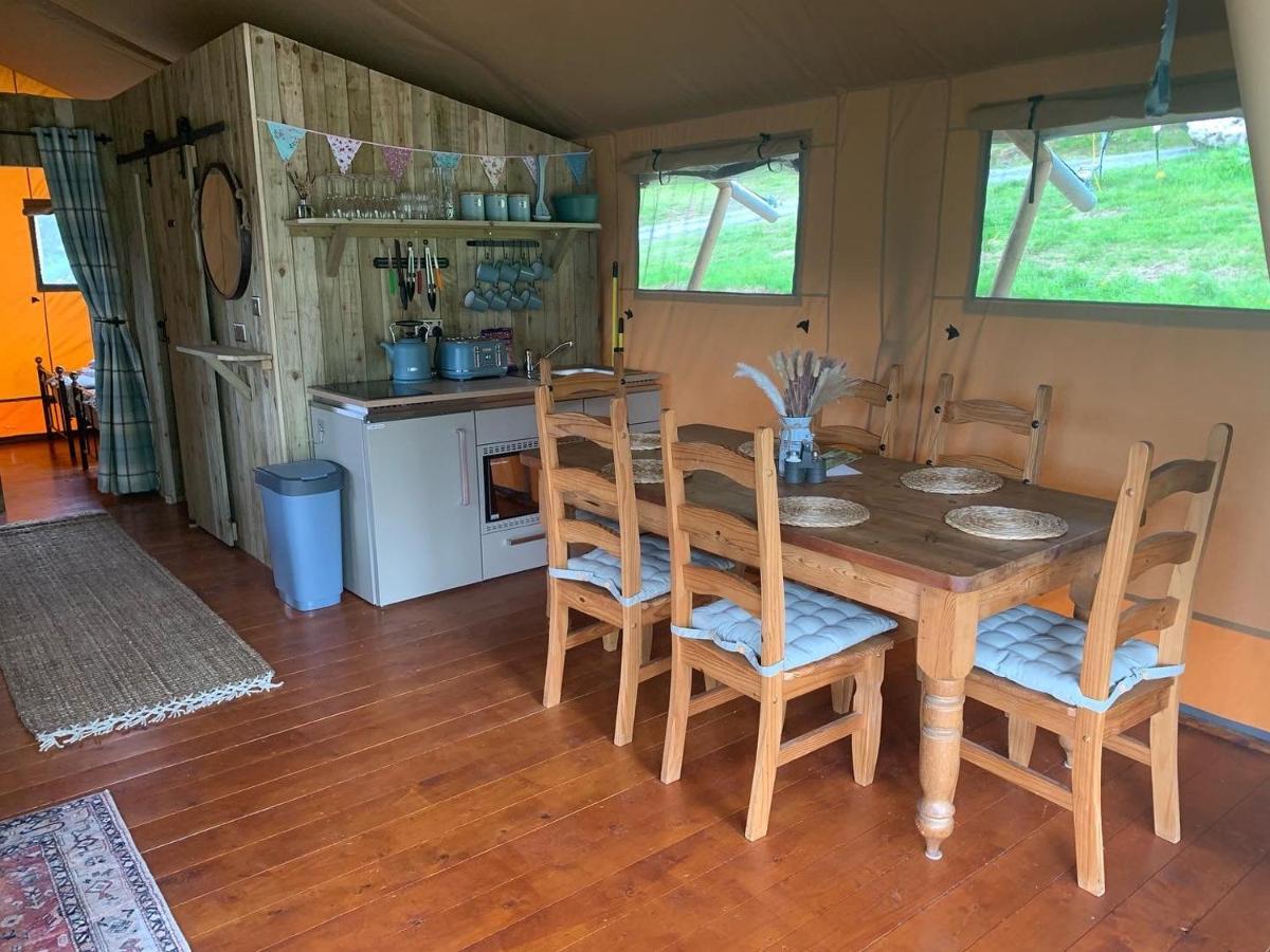 Mountain View Safari Tent With Hot Tub In The Heart Of Snowdonia Dolgellau Exteriör bild