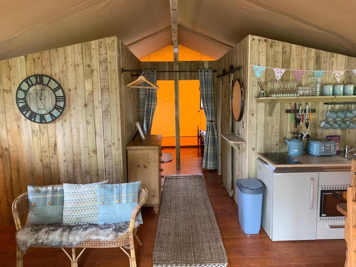 Mountain View Safari Tent With Hot Tub In The Heart Of Snowdonia Dolgellau Exteriör bild