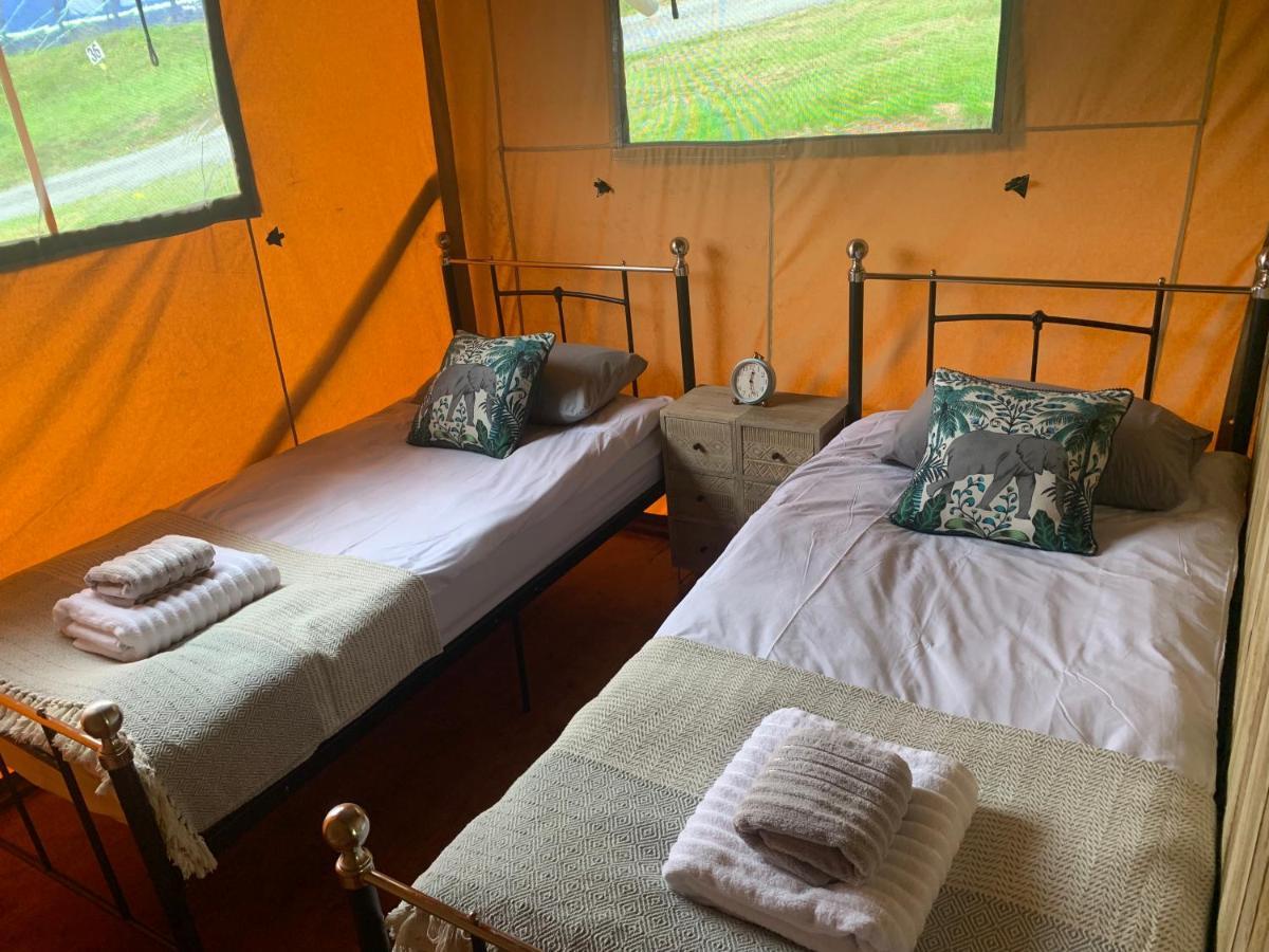 Mountain View Safari Tent With Hot Tub In The Heart Of Snowdonia Dolgellau Exteriör bild