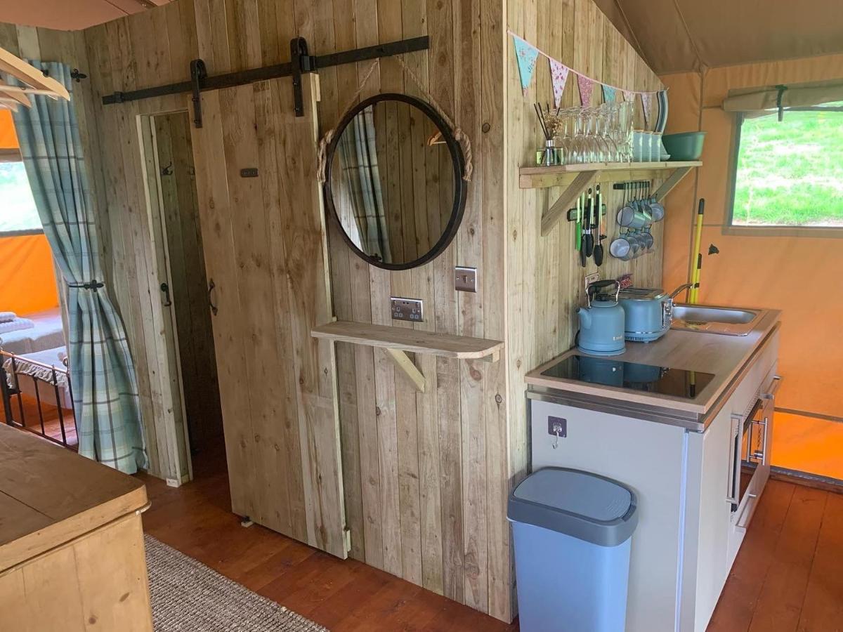Mountain View Safari Tent With Hot Tub In The Heart Of Snowdonia Dolgellau Exteriör bild