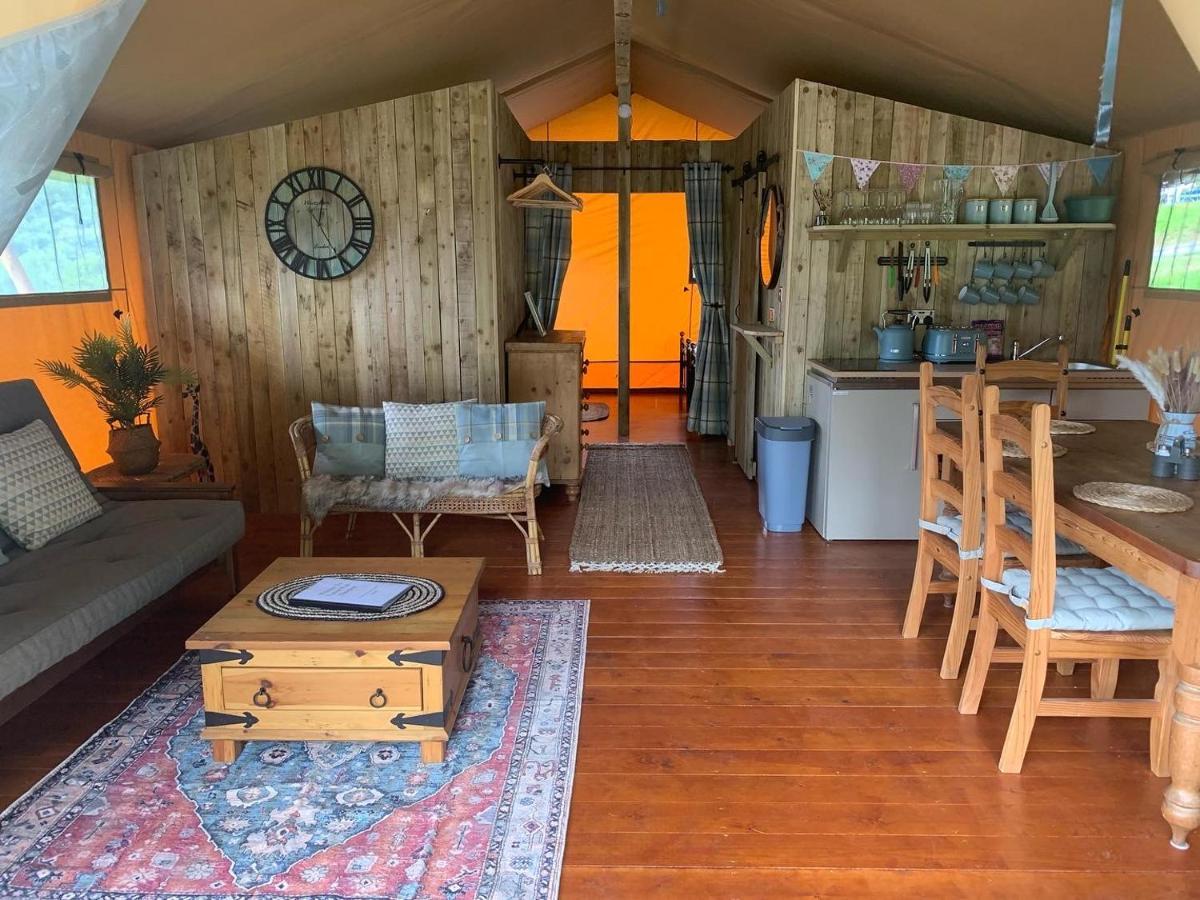 Mountain View Safari Tent With Hot Tub In The Heart Of Snowdonia Dolgellau Exteriör bild
