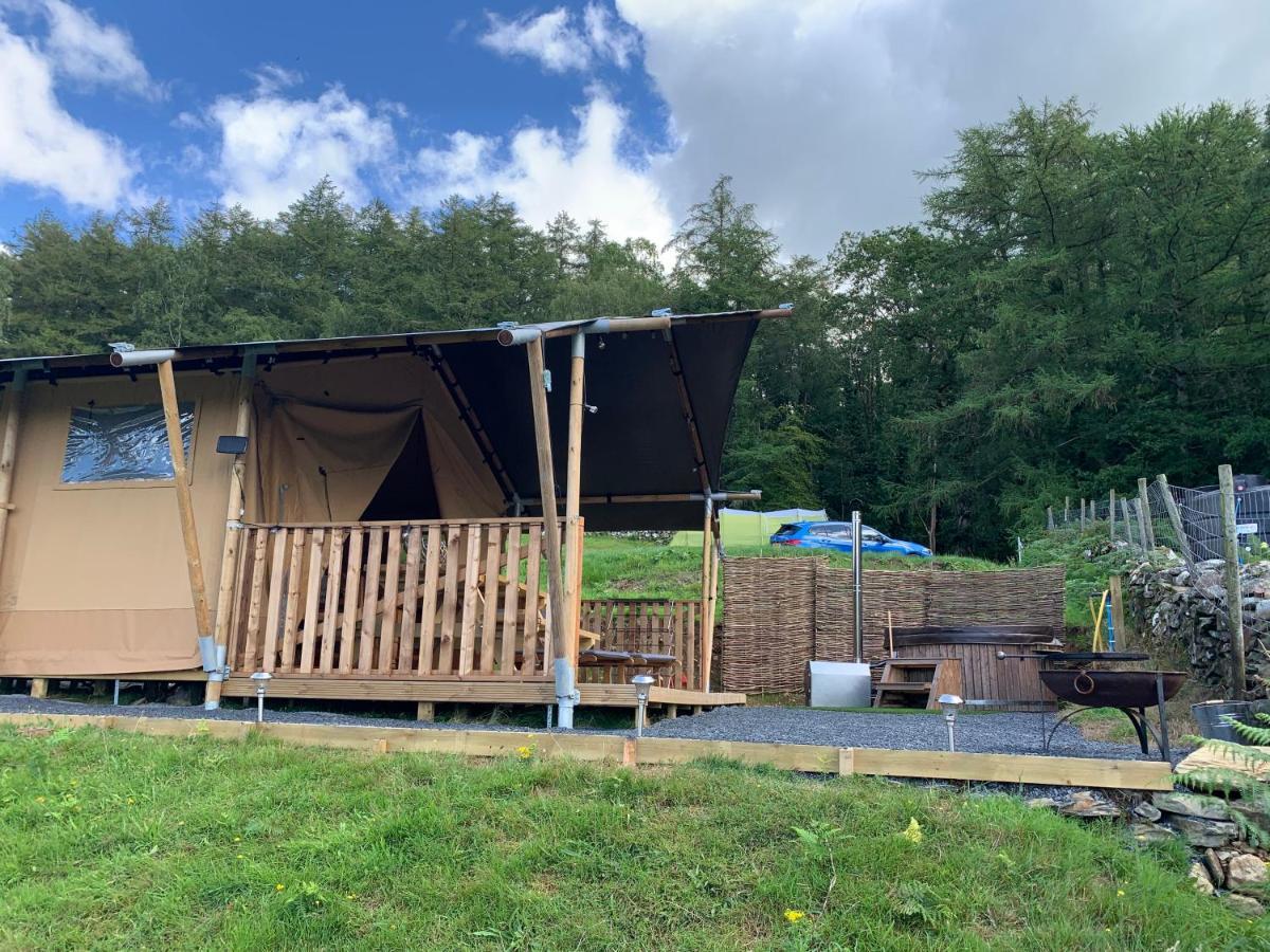 Mountain View Safari Tent With Hot Tub In The Heart Of Snowdonia Dolgellau Exteriör bild