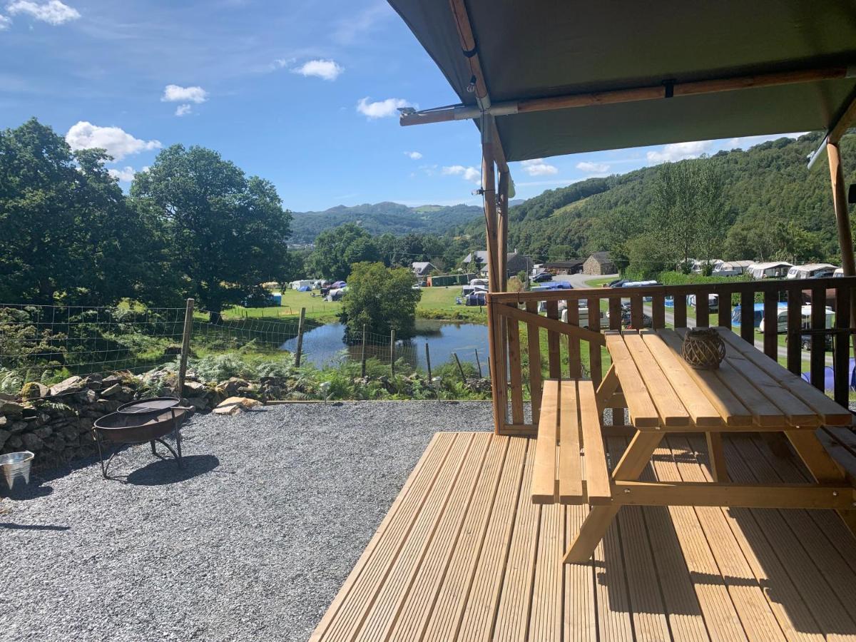 Mountain View Safari Tent With Hot Tub In The Heart Of Snowdonia Dolgellau Exteriör bild