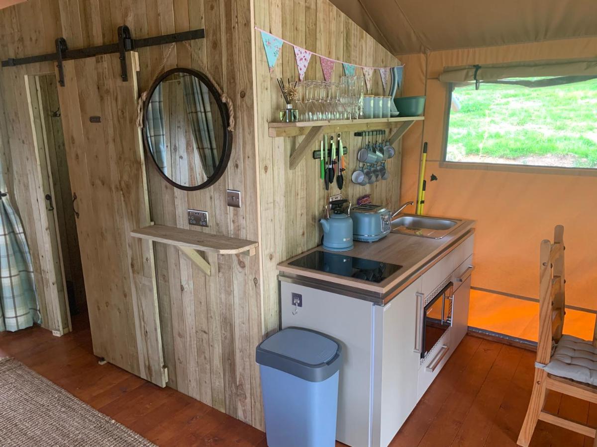 Mountain View Safari Tent With Hot Tub In The Heart Of Snowdonia Dolgellau Exteriör bild