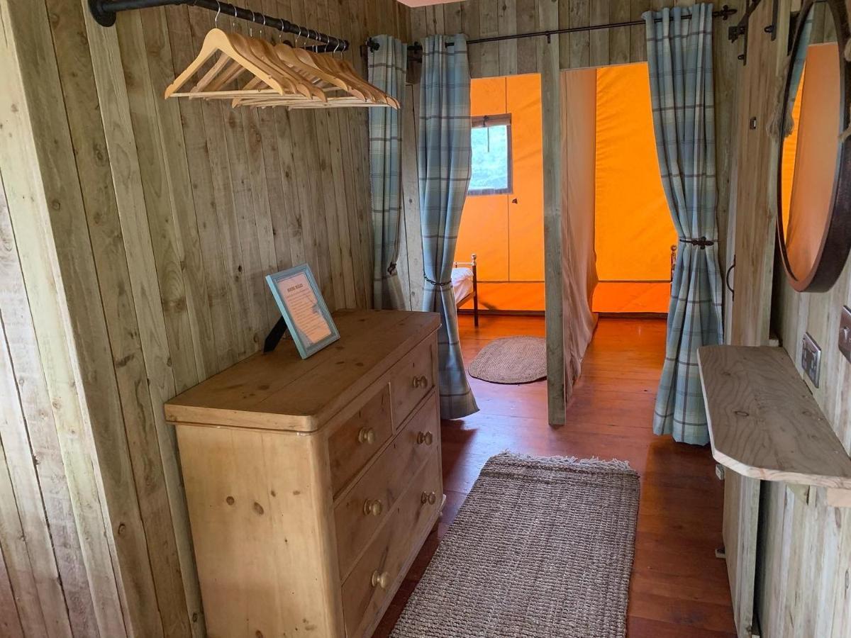 Mountain View Safari Tent With Hot Tub In The Heart Of Snowdonia Dolgellau Exteriör bild