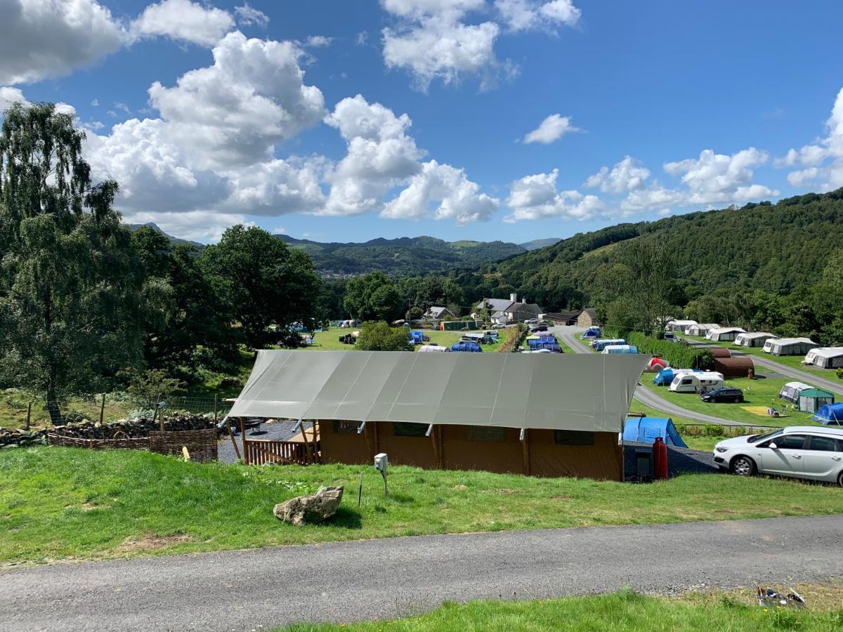 Mountain View Safari Tent With Hot Tub In The Heart Of Snowdonia Dolgellau Exteriör bild