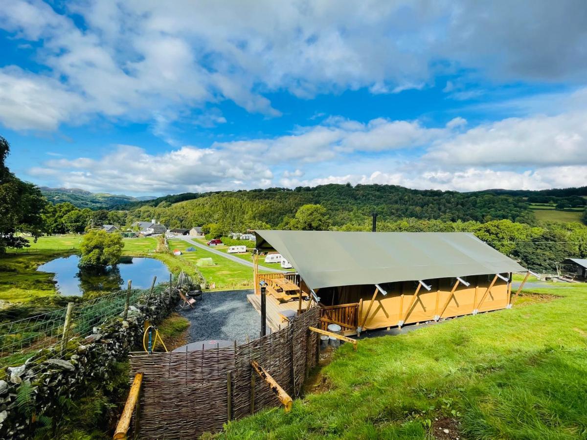 Mountain View Safari Tent With Hot Tub In The Heart Of Snowdonia Dolgellau Exteriör bild
