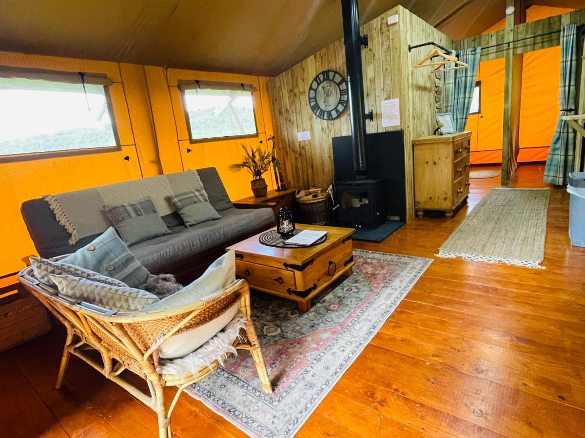 Mountain View Safari Tent With Hot Tub In The Heart Of Snowdonia Dolgellau Exteriör bild